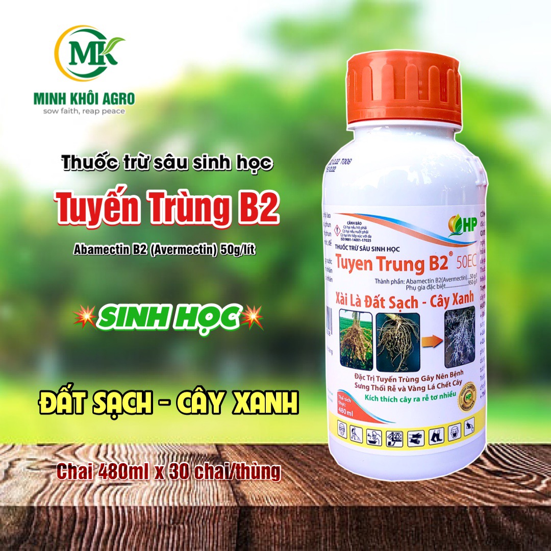 Tuyến Trùng B2 - Chai 480ml